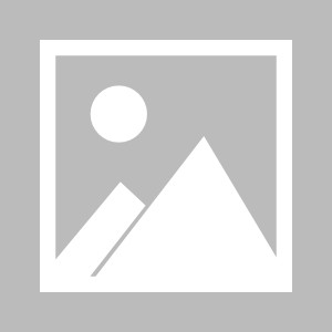 半岛体育官网-【早报】是球王就进球？拉梅姆齐破门！