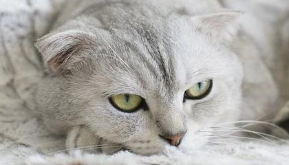 回归训练馆！利拉德更新社媒晒出自己投篮训练视频